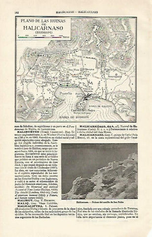 LAMINA ESPASA 21549: Plano de las ruinas de Halicarnaso
