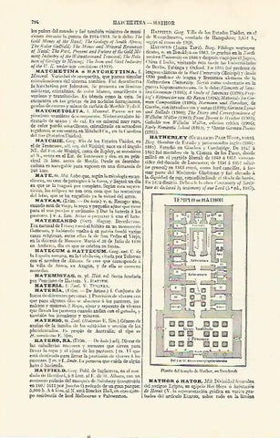 LAMINA ESPASA 21588: Planta del Templo de Hathor en Dendera Egipto