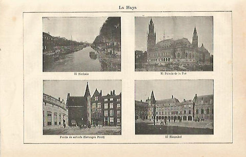 LAMINA ESPASA 21601: Edificios de La Haya
