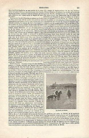 LAMINA ESPASA 21602: La tumba de Moises