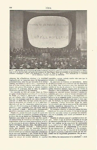 LAMINA ESPASA 21644: Pabellon de los Congresos de Berlin en 1958