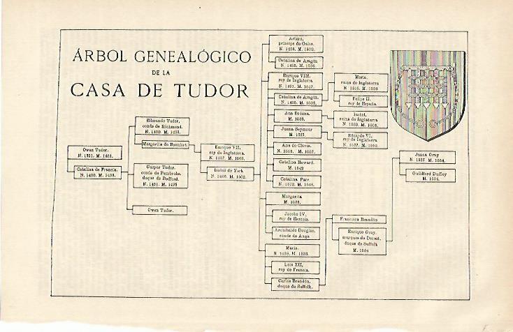 LAMINA ESPASA 938: Arbol genealogico de los Tudor