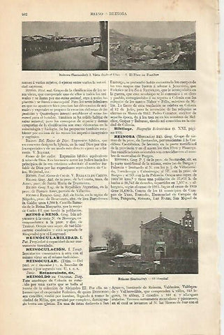 LAMINA ESPASA 976: Vista general de Reinosa Santander