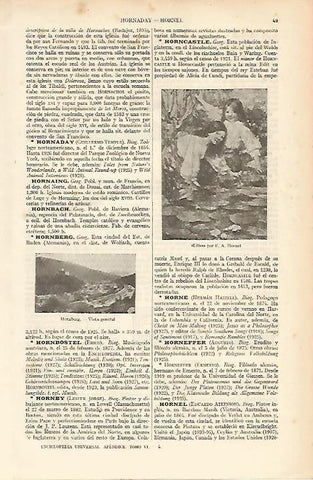 LAMINA ESPASA Alemania 9186: Lilies por Hornel. Vista general de Hornberg Alemania