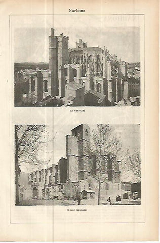 LAMINA ESPASA 10733: Catedral y Museo de Narbona Francia