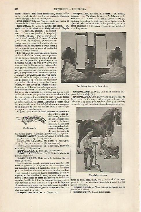 LAMINA ESPASA 16282: Esquiladoras