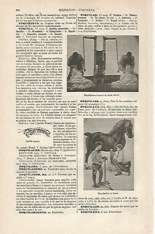 LAMINA ESPASA 16282: Esquiladoras
