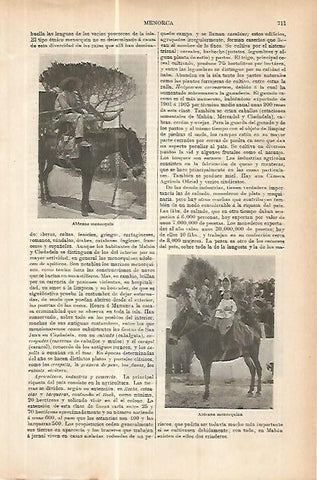 LAMINA ESPASA 17797: Aldeanos de Menorca