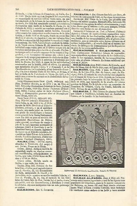 LAMINA ESPASA 18186: Salmanasar II en el Palacio de Nimrud