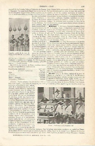 LAMINA ESPASA 14122: Guardia Real de Siam