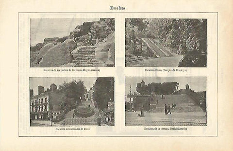 LAMINA ESPASA 16554: Escaleras de jardines