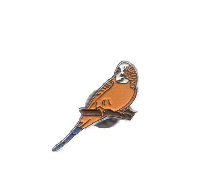 PIN: Animales: PAJARO - PERIQUITO AMARILLO