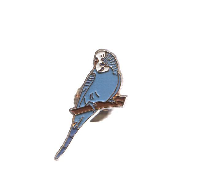 PIN: Animales: PAJARO - PERIQUITO AZUL