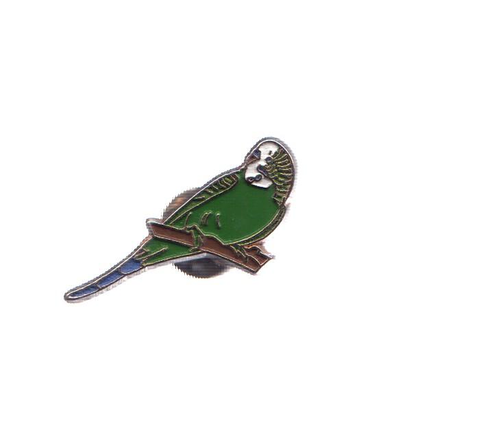 PIN: Animales: PAJARO - PERIQUITO VERDE