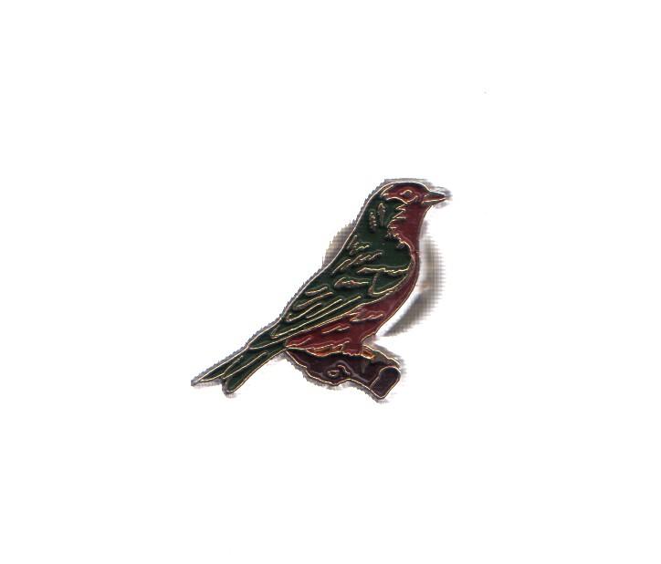 PIN: Animales: PAJARO - PINZON VERDE/ROJO