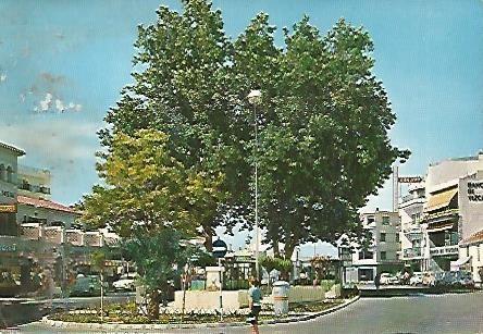 POSTAL 55834: TORREMOLINOS. Plaza de la Costa del Sol