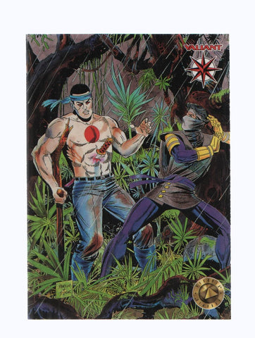 Trading Cards: VALIANT Serie ERA II Numero 223: BLOODSHOT (Valiant 1994)