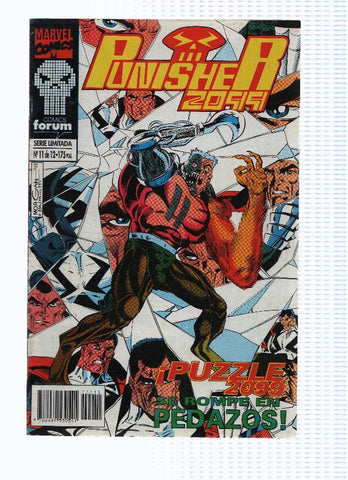 PUNISHER 2099, Serie Limitada, Numero 11 de 12: La Tormenta se Acerca (Forum 1994)
