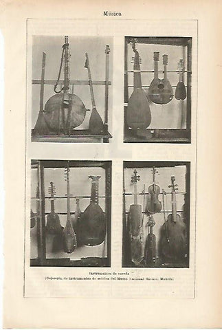 LAMINA ESPASA 10436: Instrumentos de cuerda