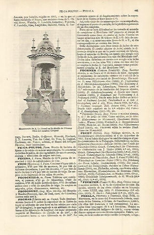 LAMINA ESPASA 11298: Monumento a A. Le Grand