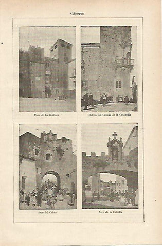 LAMINA ESPASA 14627: Edificios de Caceres