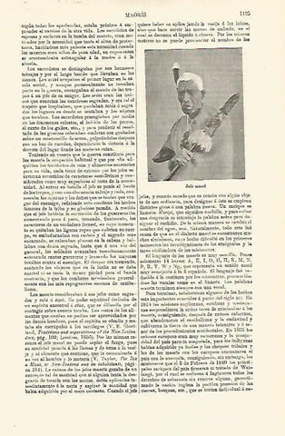 LAMINA ESPASA 18688: Jefe de los maori
