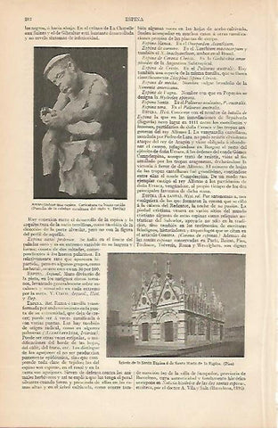 LAMINA ESPASA 8002: Iglesia de la Santa Espina en Pisa Italia