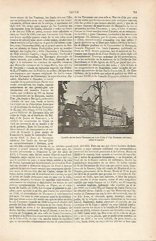 LAMINA ESPASA 19577: Castillo de los Sauix Tavannes en Lux