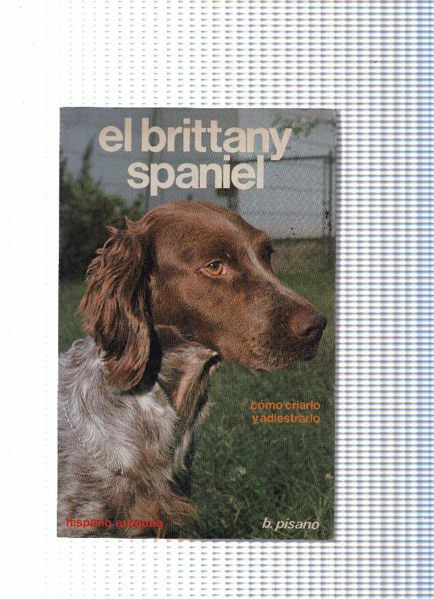 El brittany spaniel