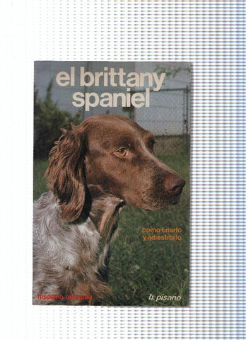 El brittany spaniel