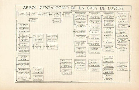 LAMINA ESPASA 1773: Arbol genealogico de la Casa de Luynes