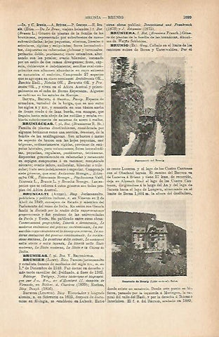 LAMINA ESPASA 11806: Ferrocarril del Brunig Suiza