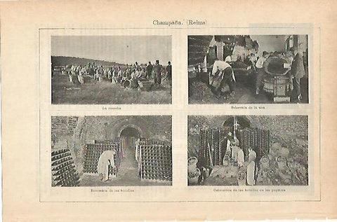 LAMINA ESPASA 14427: Cosecha y bodegas de champan en Reims