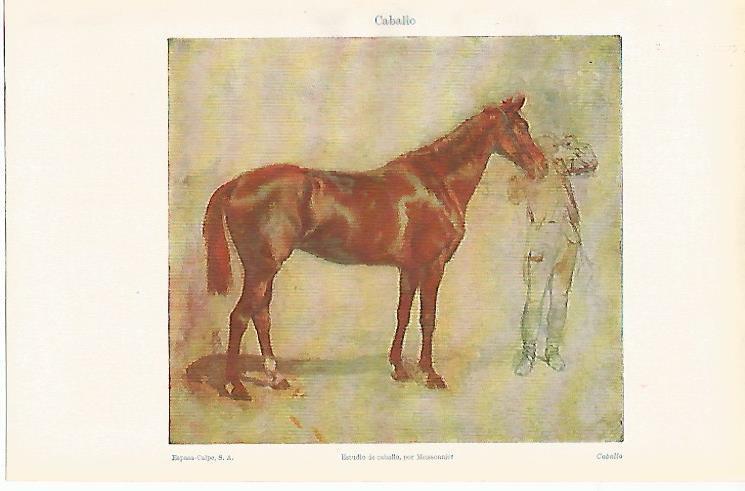 LAMINA ESPASA 14580: Estudio de caballo por Meisseonnier