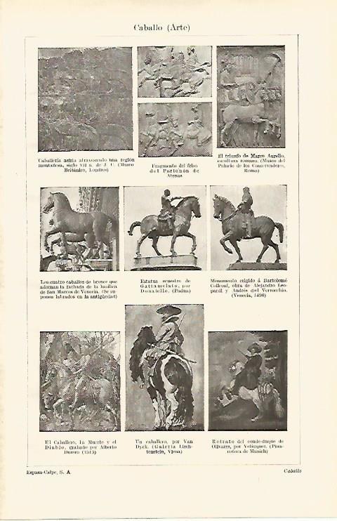 LAMINA ESPASA 14583: Arte del caballo