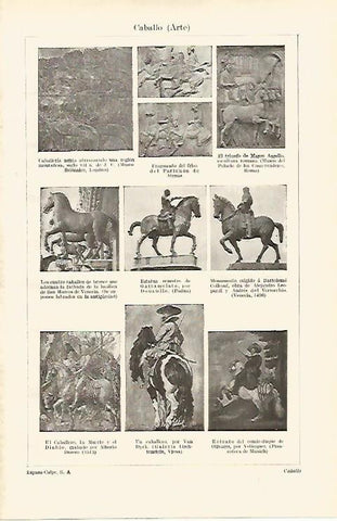 LAMINA ESPASA 14583: Arte del caballo