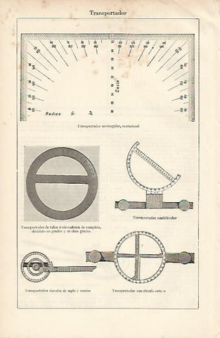 LAMINA ESPASA 11113: Tipos de transportador