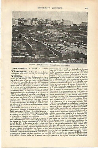 LAMINA ESPASA 16223: Vista de Herculano Italia
