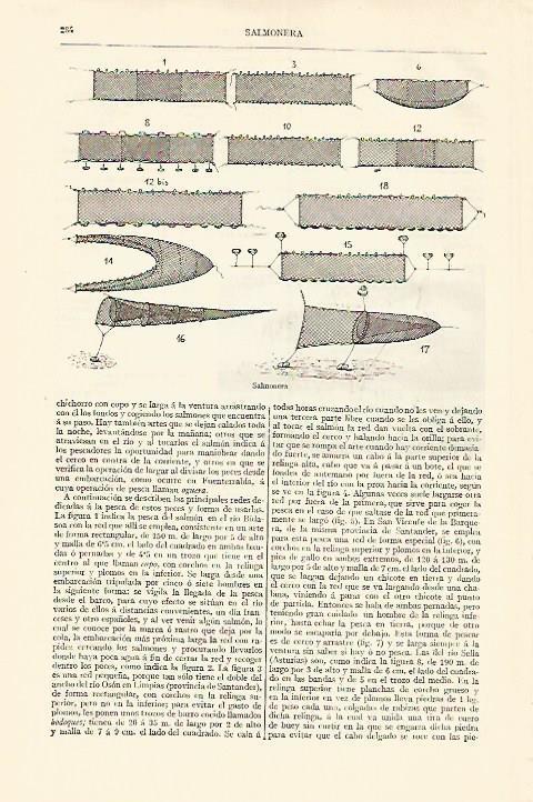 LAMINA ESPASA 18187: Salmonera