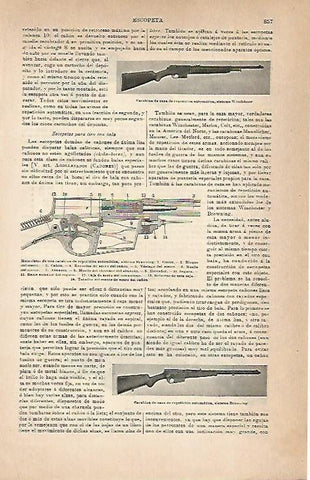 LAMINA ESPASA 18893: Carabina de caza