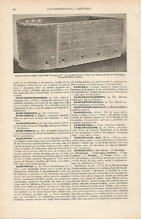 LAMINA ESPASA 19531: Sarcofago de Nekh Heru Hebit (378a.C.)