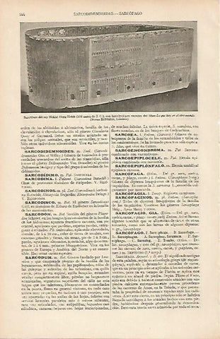 LAMINA ESPASA 19531: Sarcofago de Nekh Heru Hebit (378a.C.)