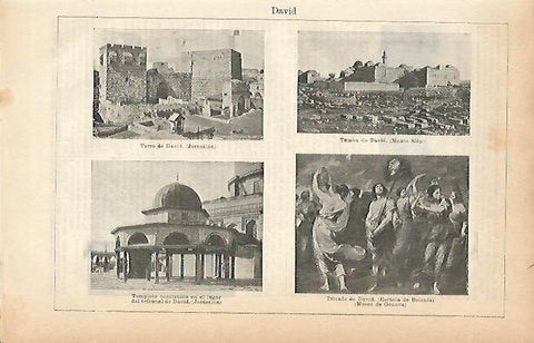 LAMINA ESPASA 2044: Imagenes relacionadas con David