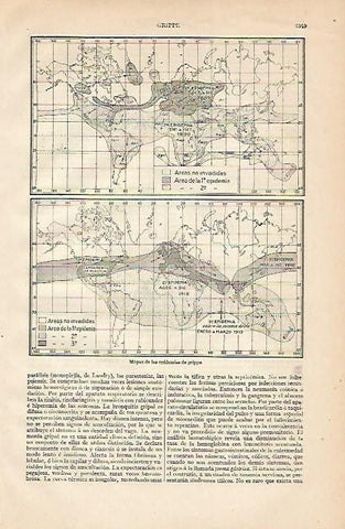 LAMINA ESPASA 2206: Mapa de las epidemias de gripe