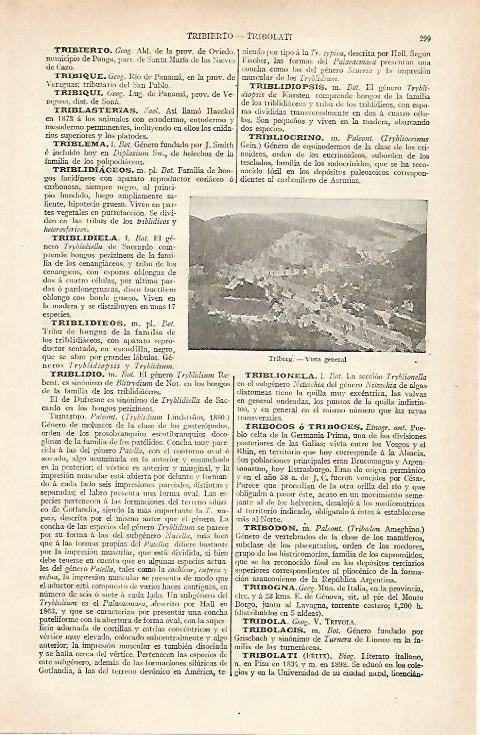 LAMINA ESPASA 20396: Triverg Alemania