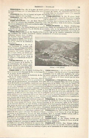 LAMINA ESPASA 20396: Triverg Alemania