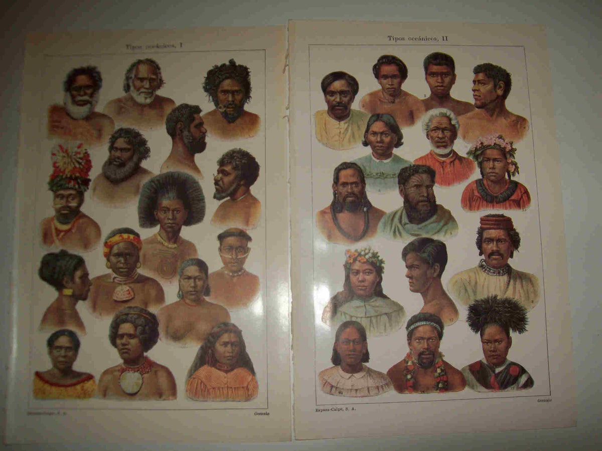 LAMINA ESPASA 21286: Tipos de Oceania