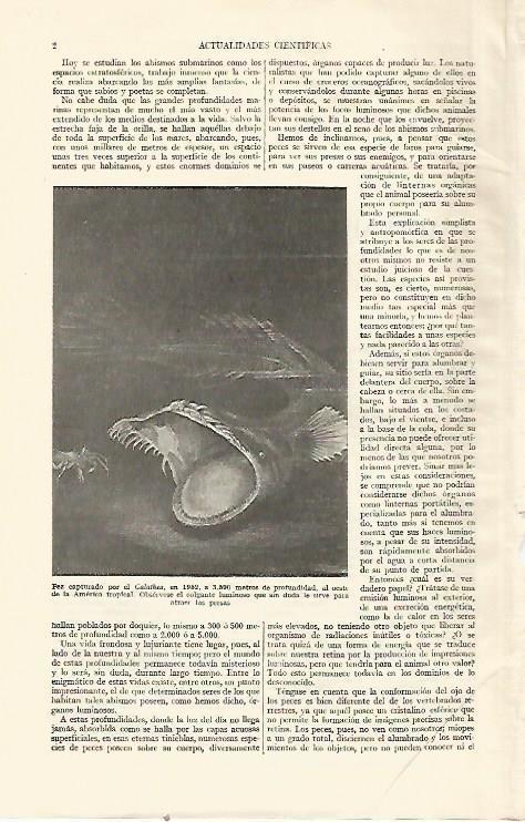 LAMINA ESPASA 21872: Pez capturado por el Galathea en 1952