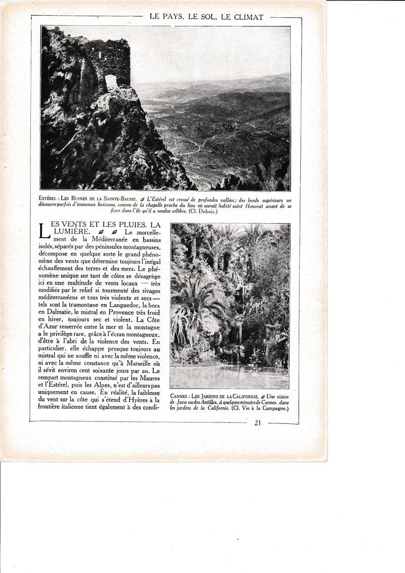 LAMINA 30113:  Esterel Les Ruines de la Sainte-Baume Cannes  Les Jardins de la Californie