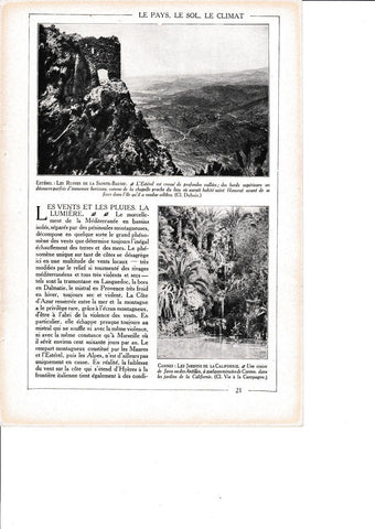LAMINA 30113:  Esterel Les Ruines de la Sainte-Baume Cannes  Les Jardins de la Californie